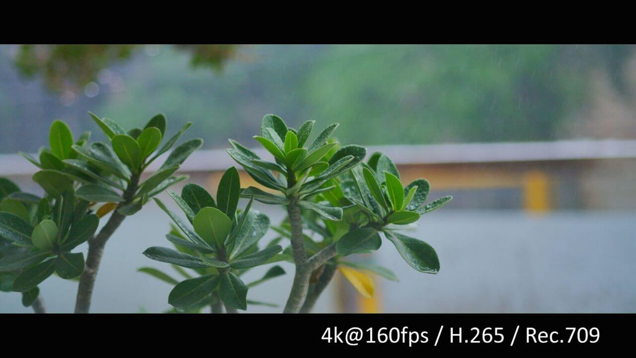 ZCAM E2 160fps 4k Sample 3