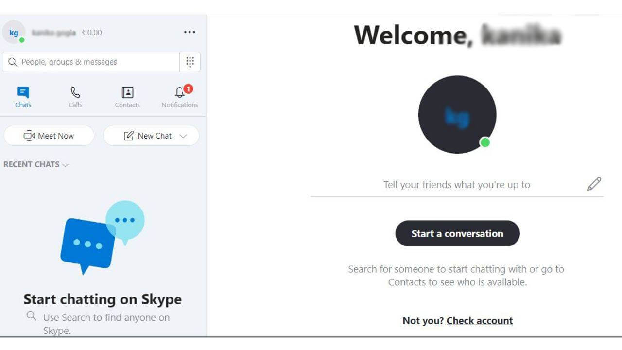 Skype Interface
