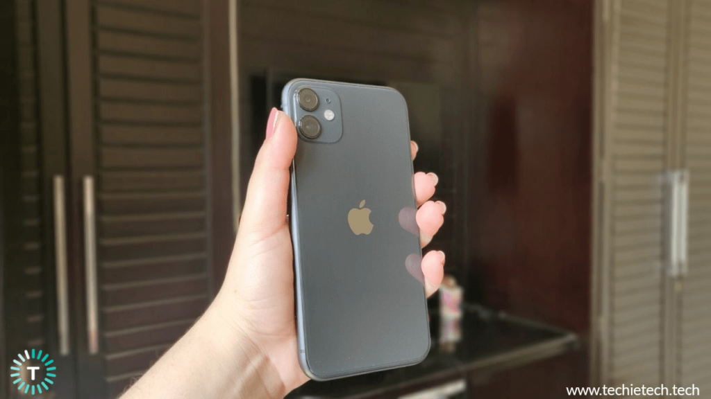 IPhone 11 Review In 2020: 6 Months Of Daily Usage - TechieTechTech