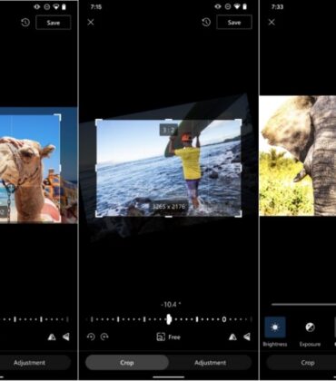 Microsoft adds photo editing and file organization features to OneDrive