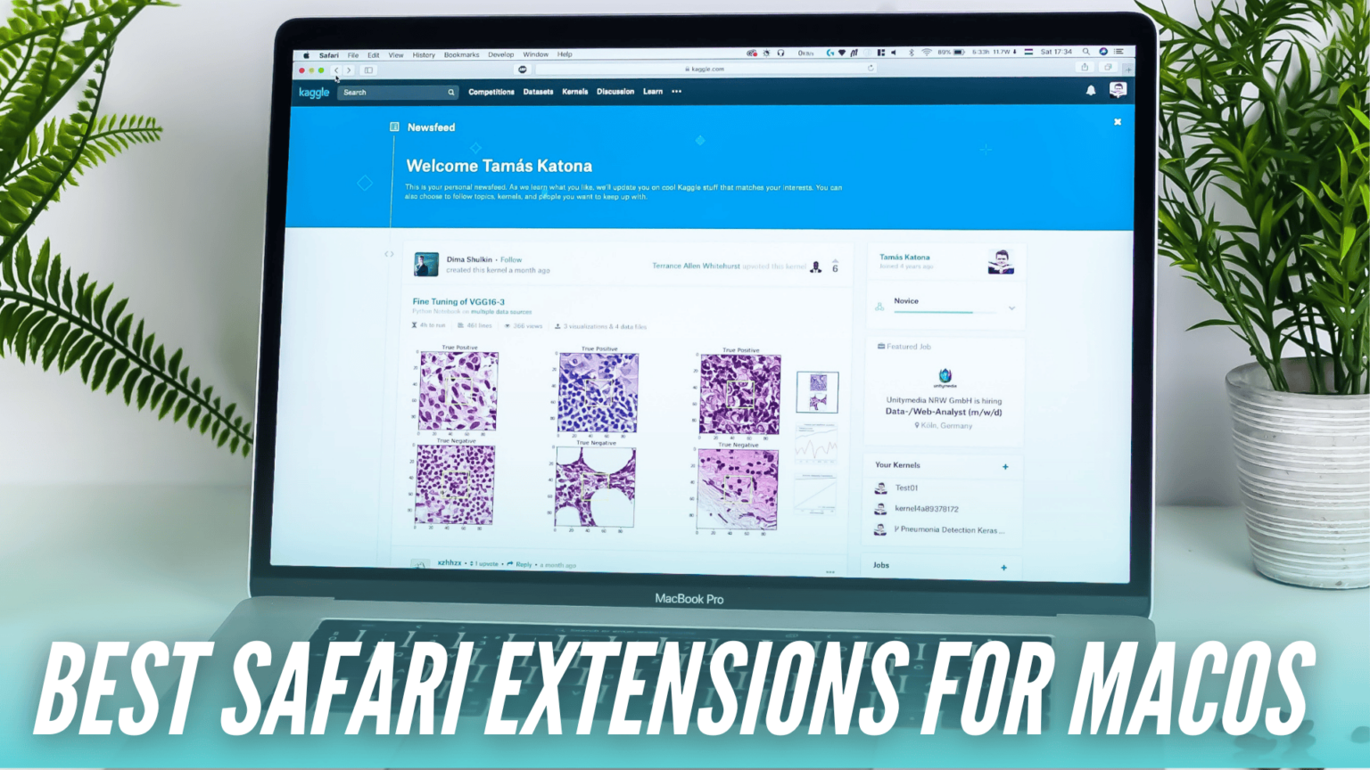 Best Safari extensions for macOS in 2023 - TechieTechTech