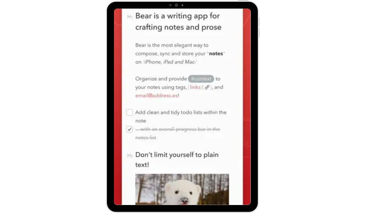 Bear iPad SS