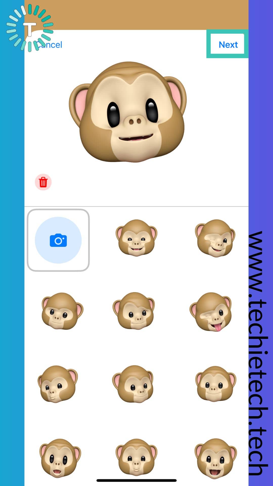 Select Memoji or Use Camera icon to capture new Memoji